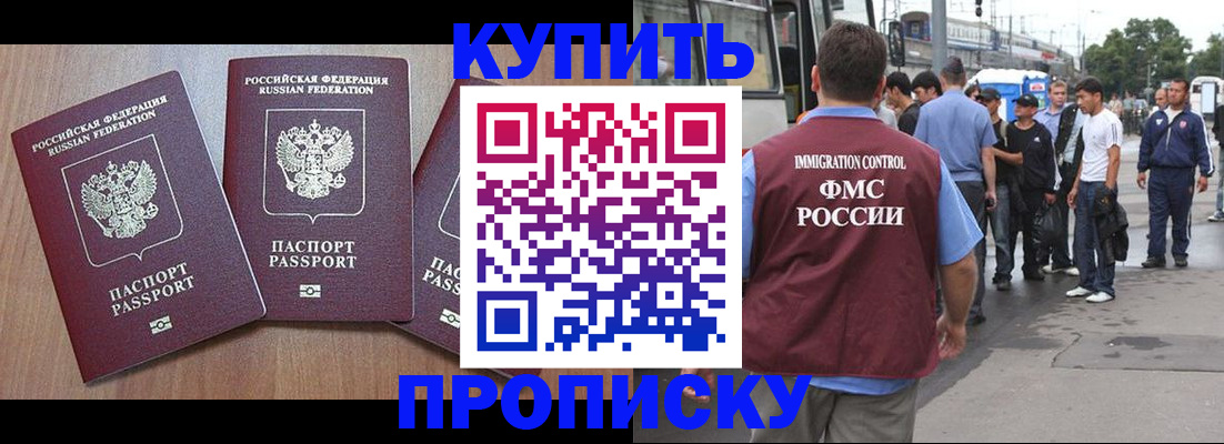 прописка 2025 в Новозыбкове